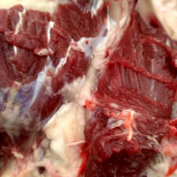 驴肉鲜货