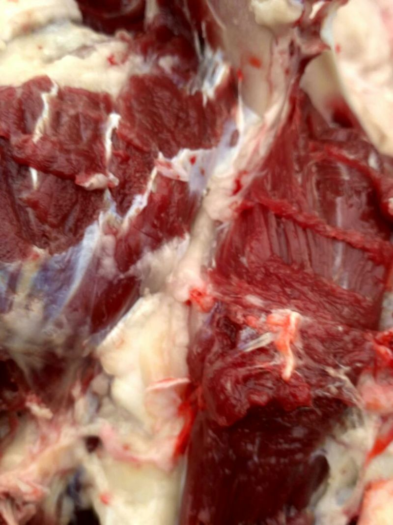 驴肉鲜货