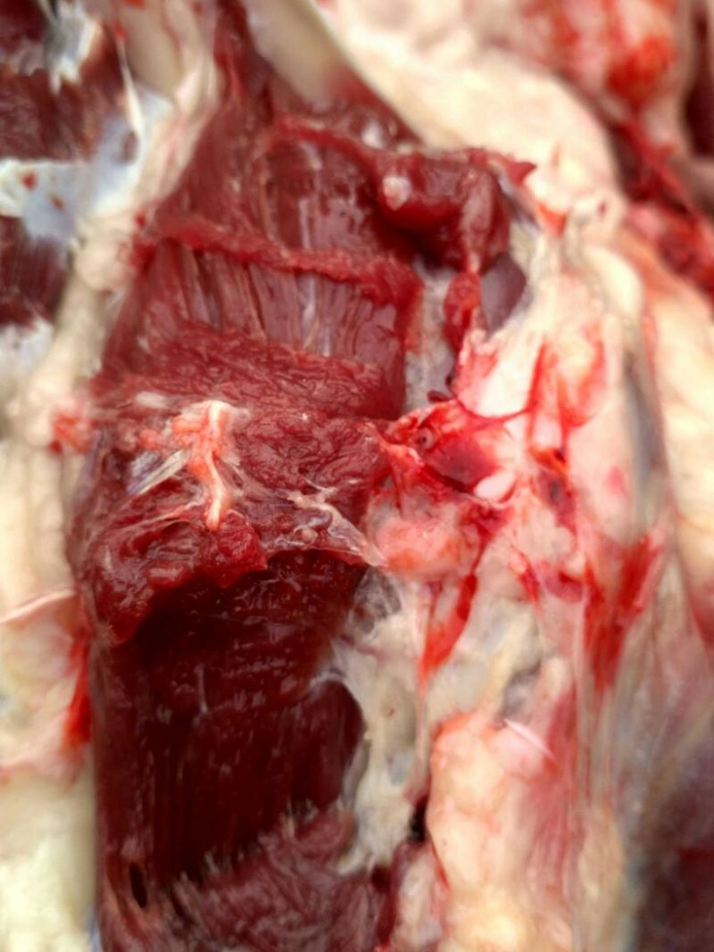 驴肉鲜货