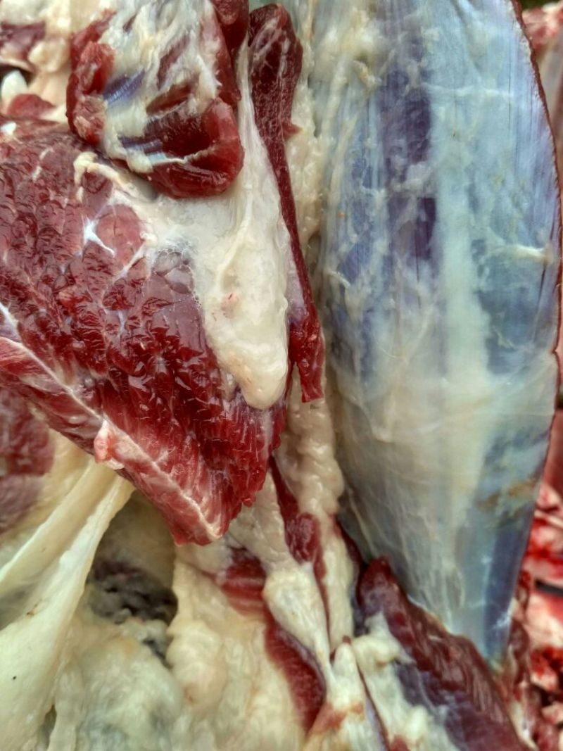 驴肉鲜货
