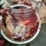 驴肉鲜货