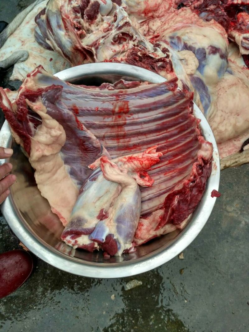 驴肉鲜货