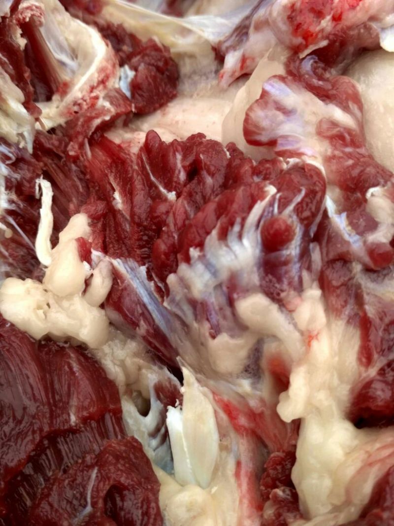 驴肉鲜货