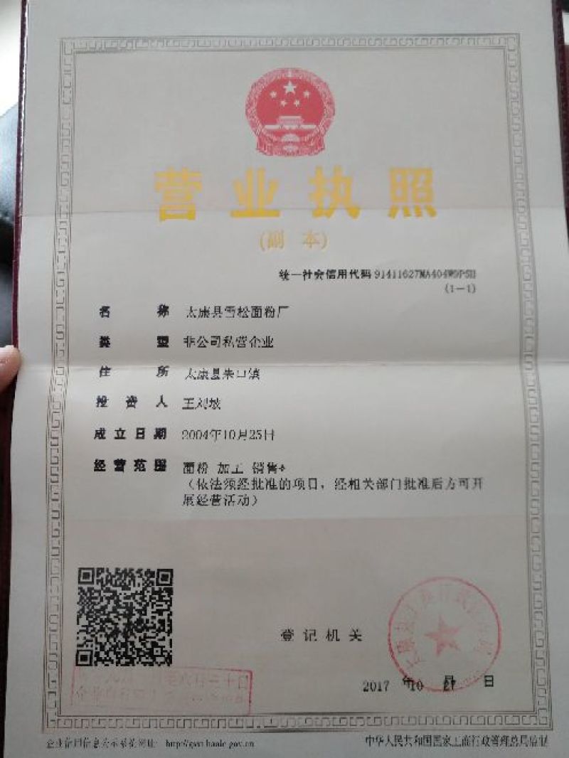 黄玉米色选，日出货300吨