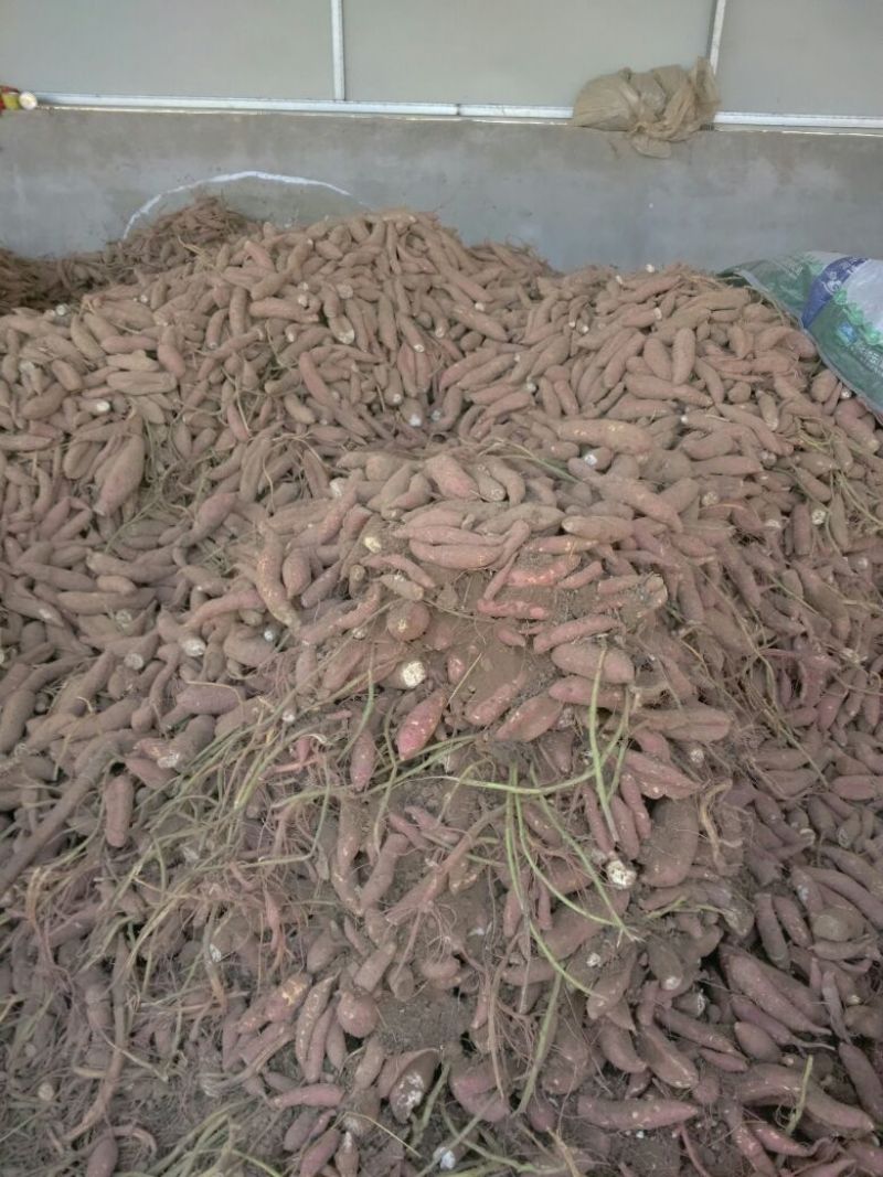 红薯粉丝100%农家红薯粉丝