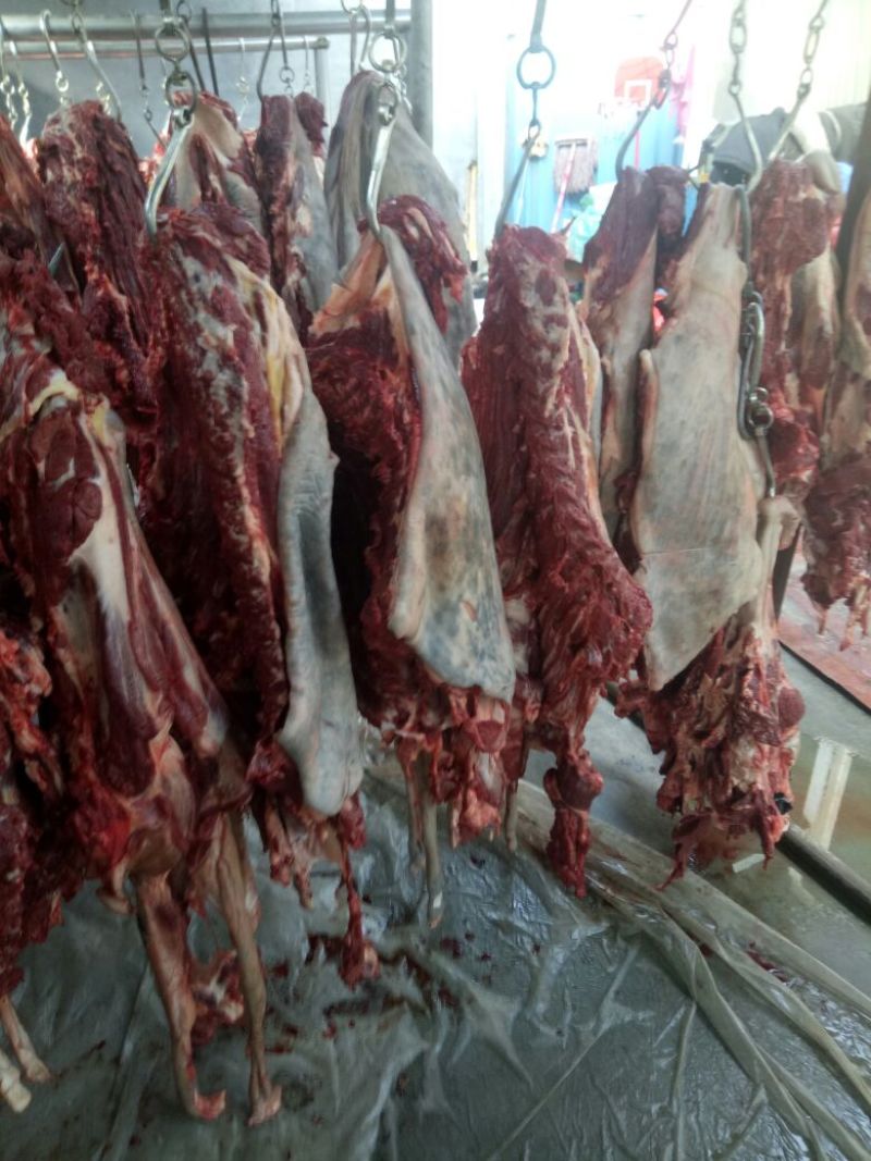 驴肉鲜货