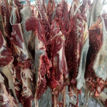 驴肉鲜货