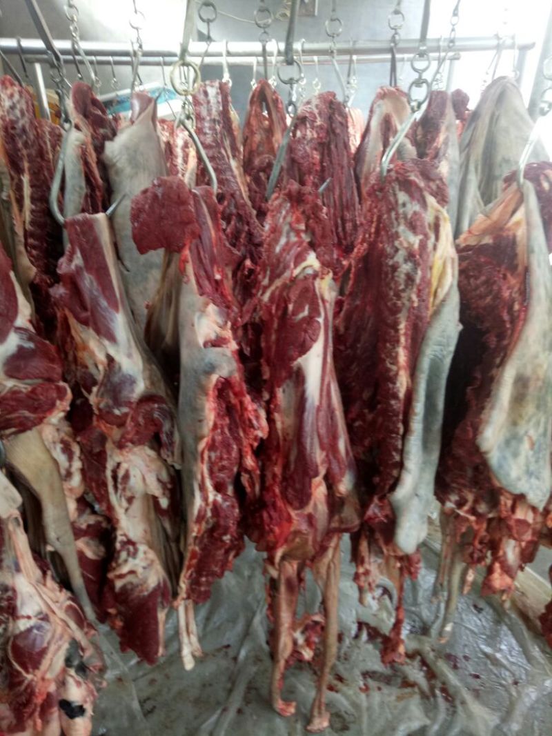 驴肉鲜货
