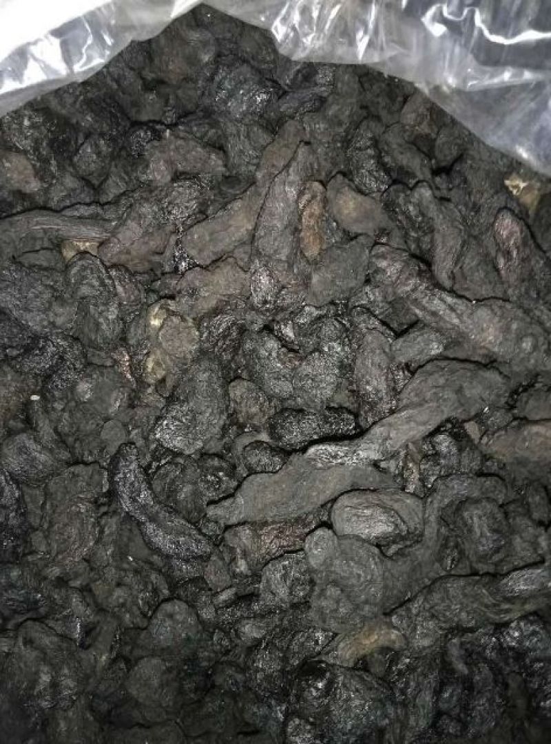 熟地黄