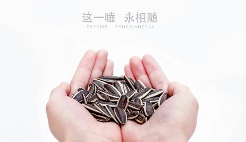 葵花籽包装熟