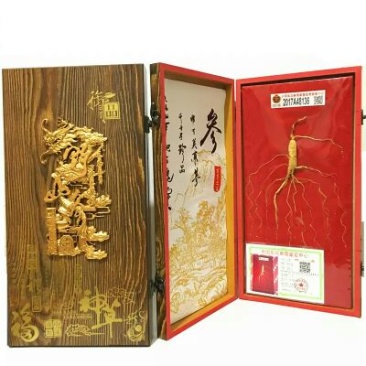 野山参干