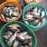 鳜鱼30~40cm食用冰鲜鱼