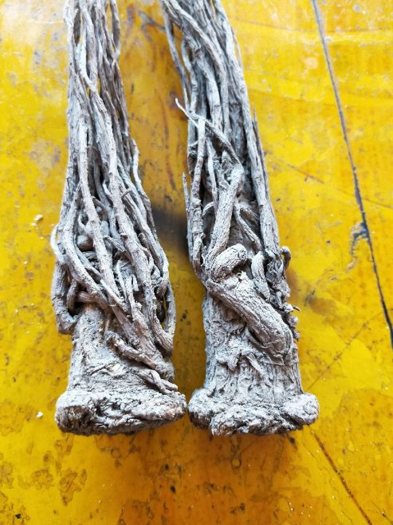岷当归(包邮甘肃乡里娃的土当归，产地直发