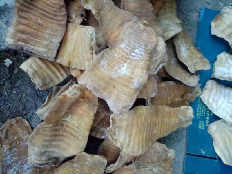 水煮笋干淡笋干