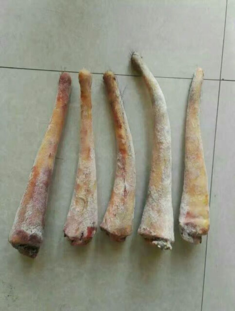 驴肉鲜货