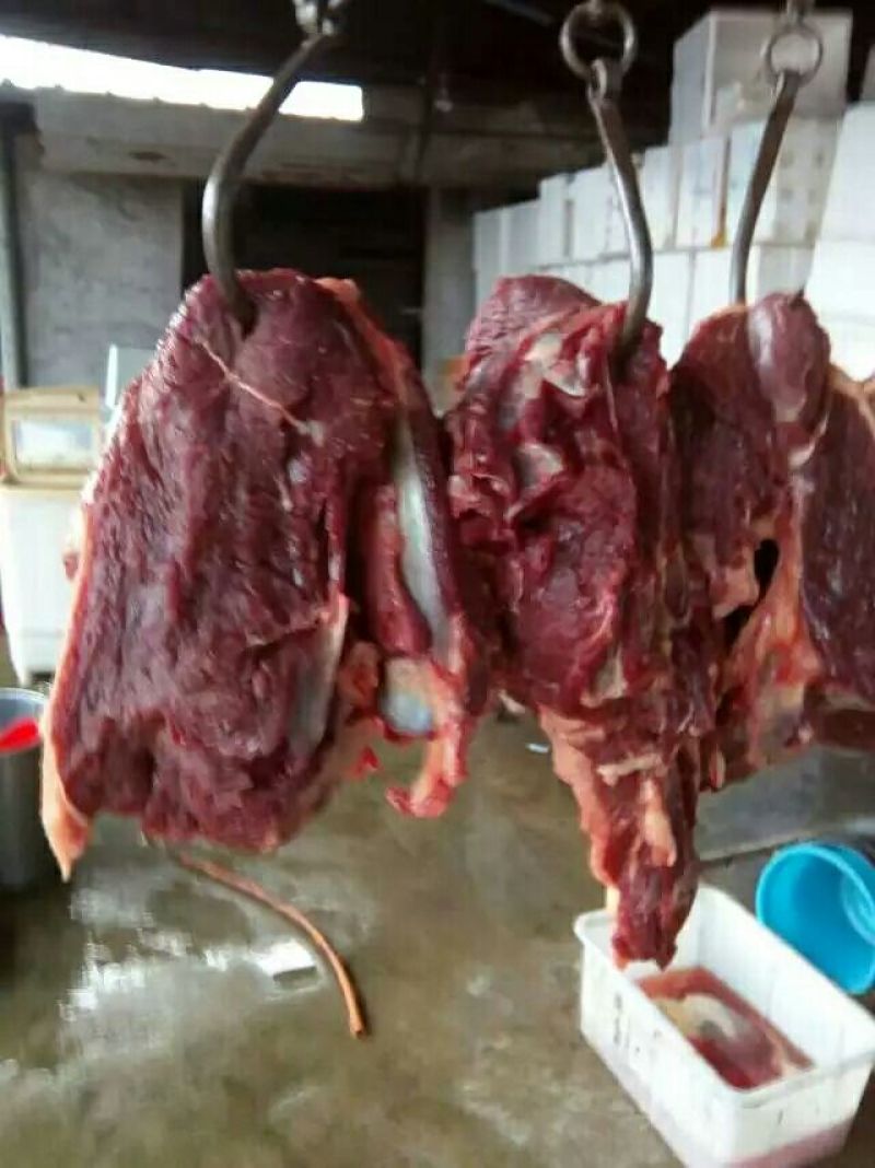 驴肉鲜货