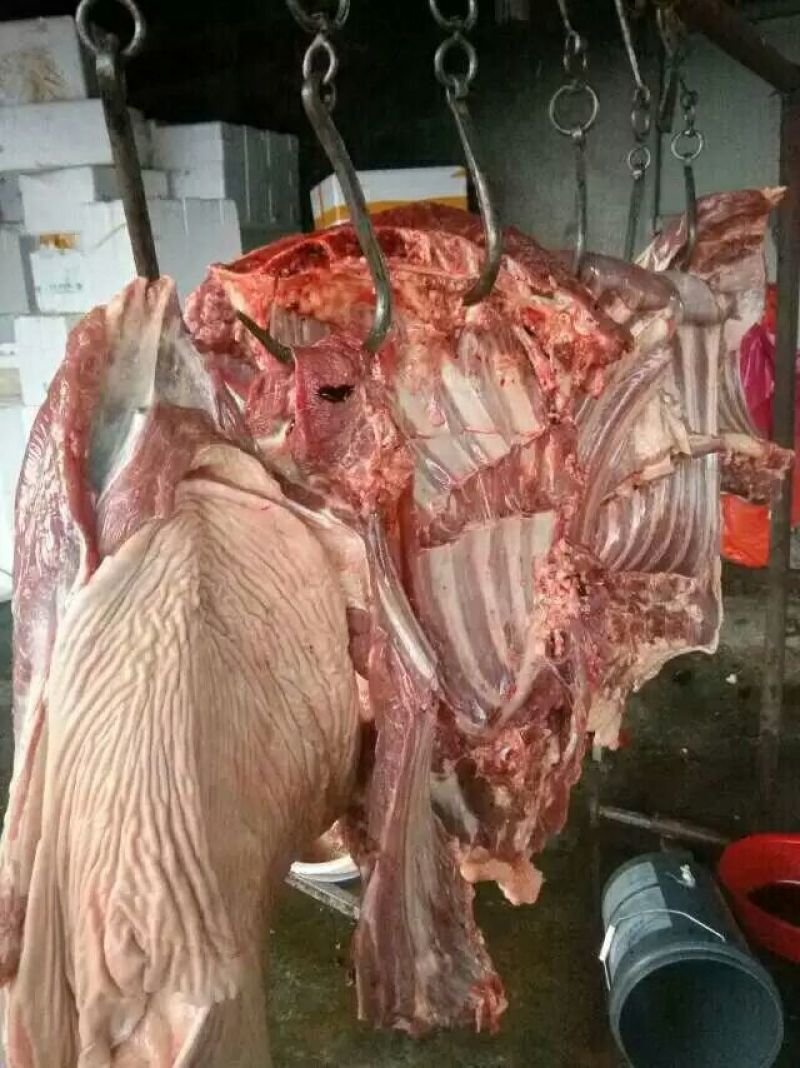 驴肉鲜货