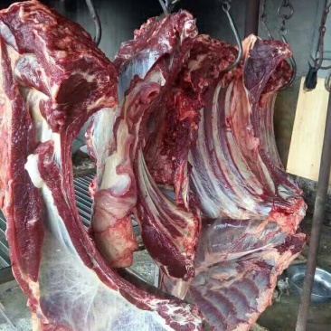驴肉鲜货