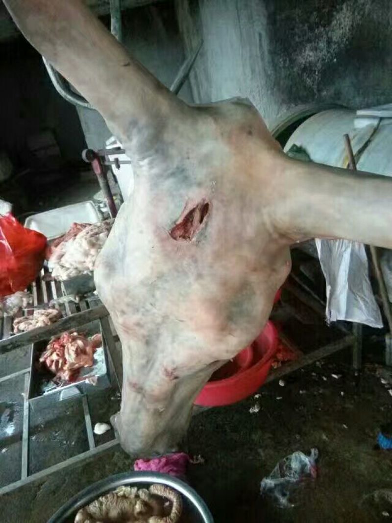 驴肉鲜货