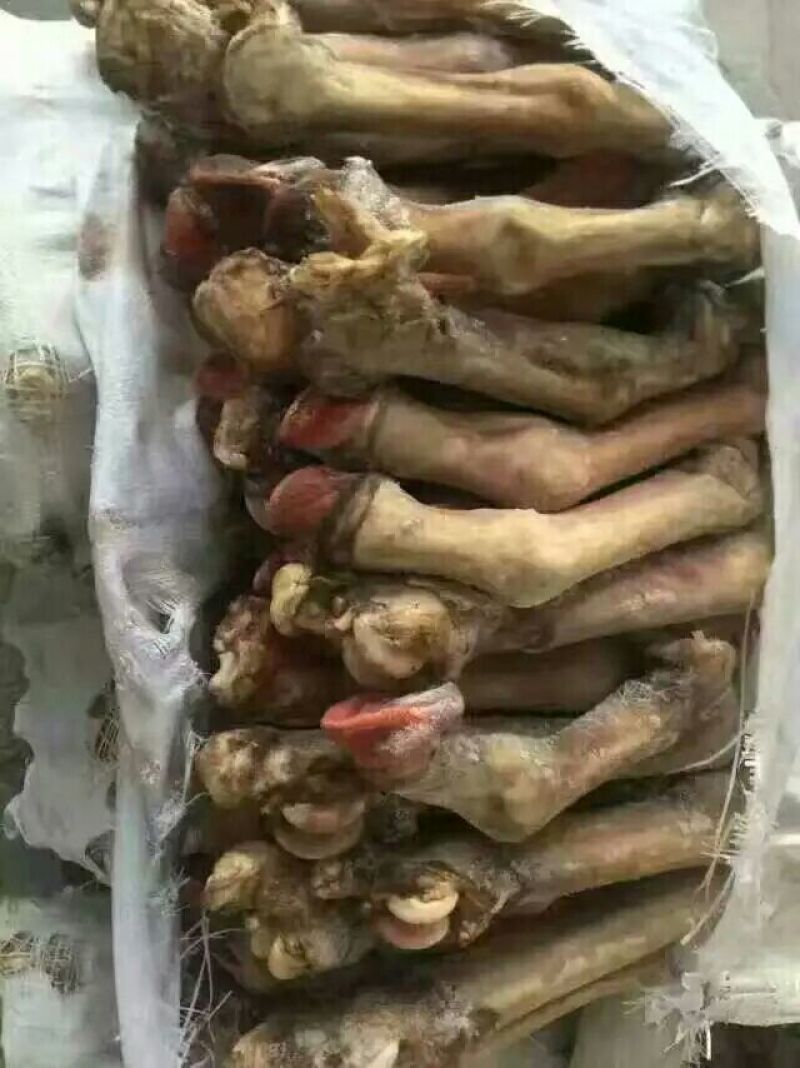 驴肉鲜货