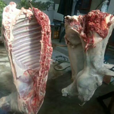 驴肉鲜货