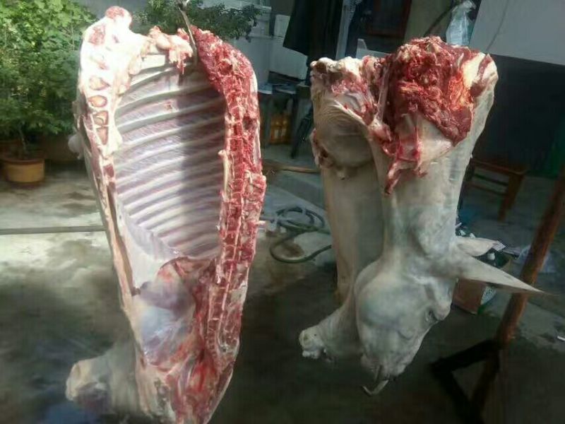 驴肉鲜货