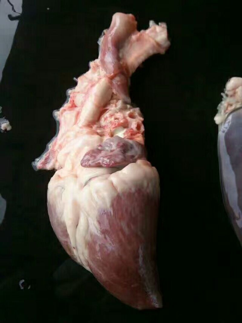 驴肉鲜货