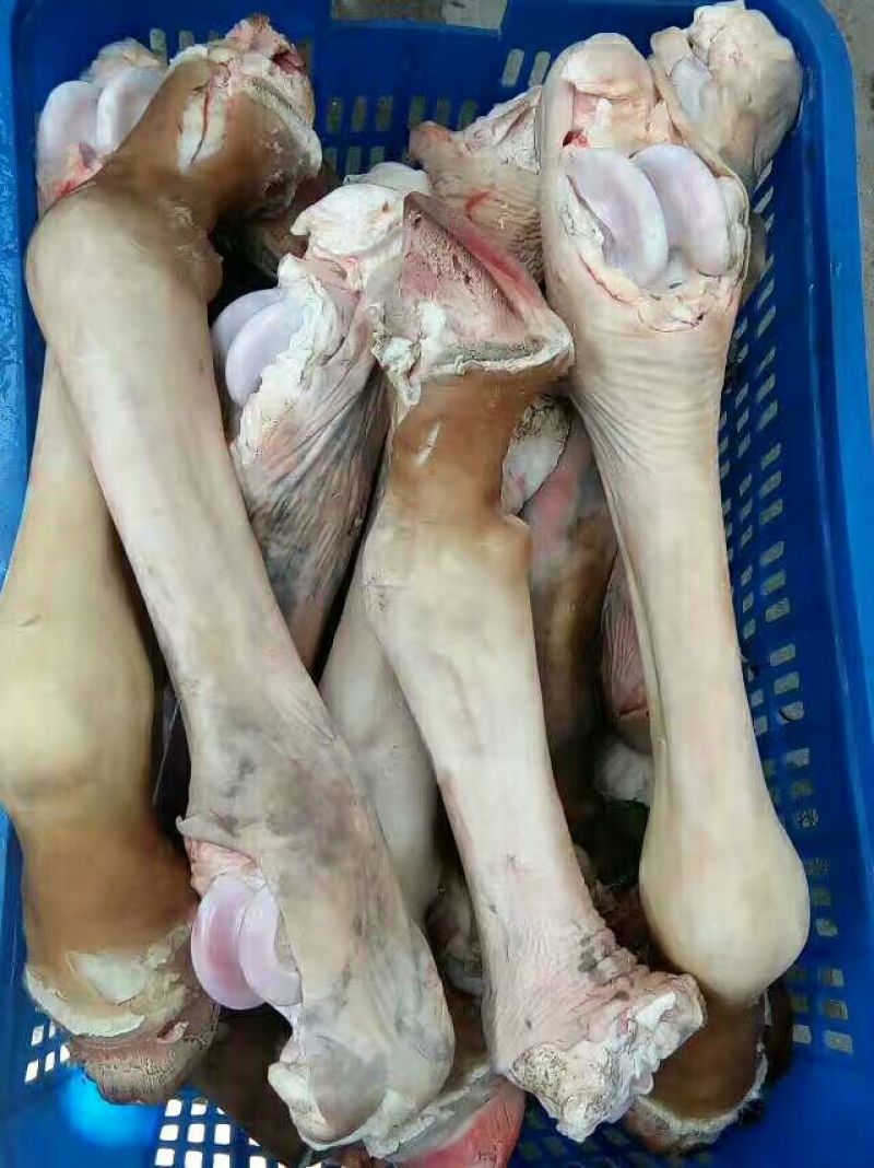 驴肉鲜货