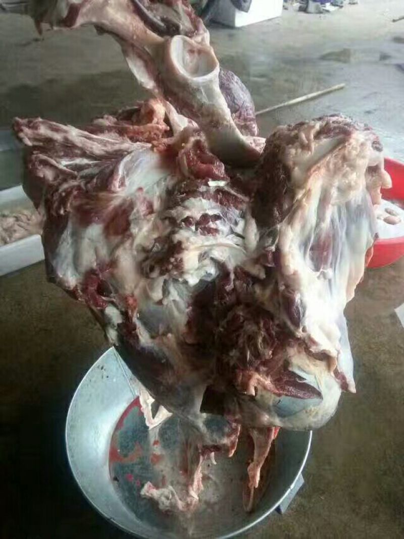 驴肉鲜货