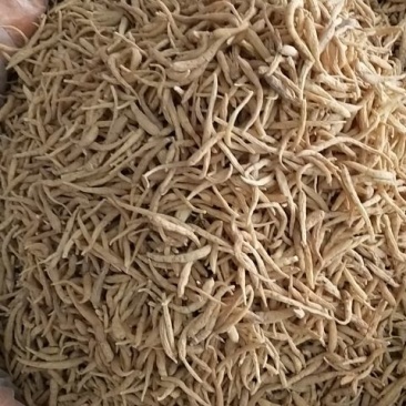 太子参/全年有货/量大从优/自然晾晒/欢迎进店选购