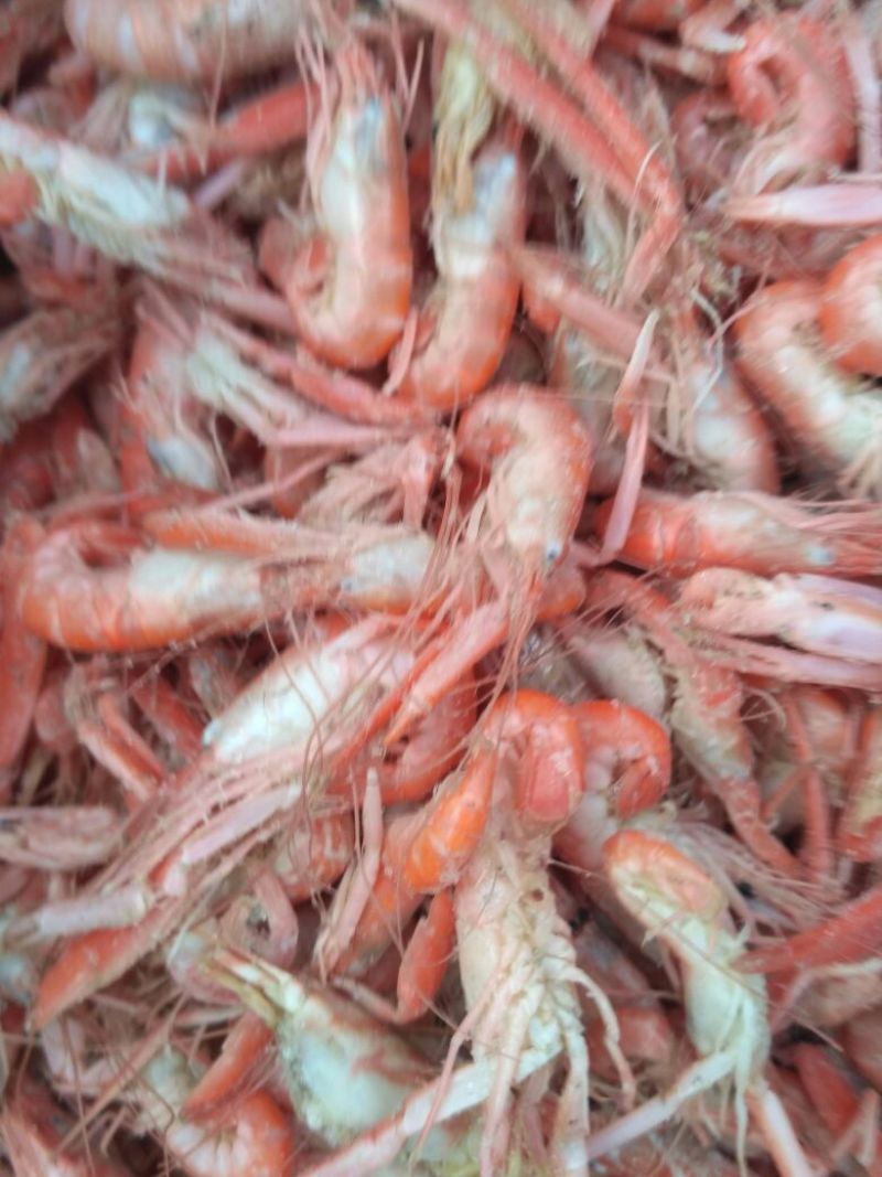 红虾食用冻虾