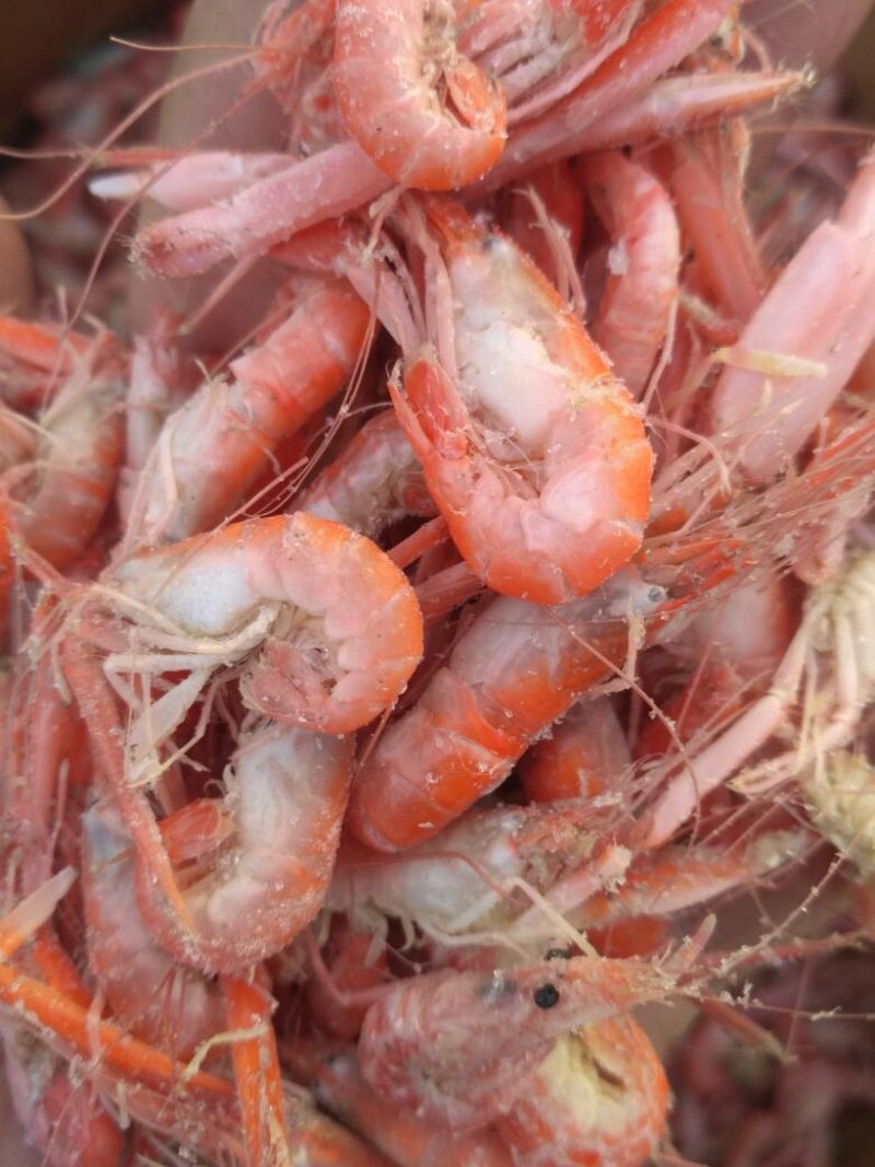 红虾食用冻虾