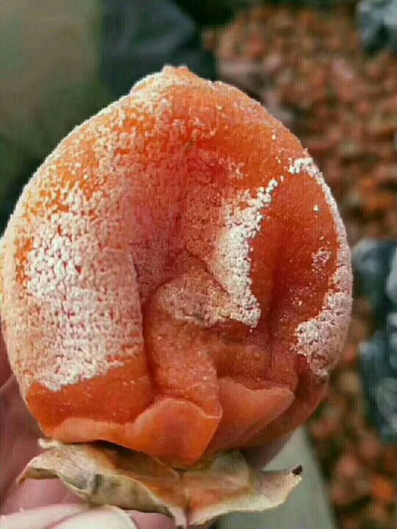 柿饼2~2.5两