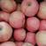 精品红富士苹果，条红，片红，口感脆甜，对接商场超市电商等