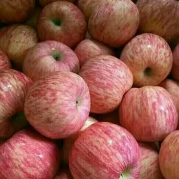 精品红富士苹果，条红，片红，口感脆甜，对接商场超市电商等