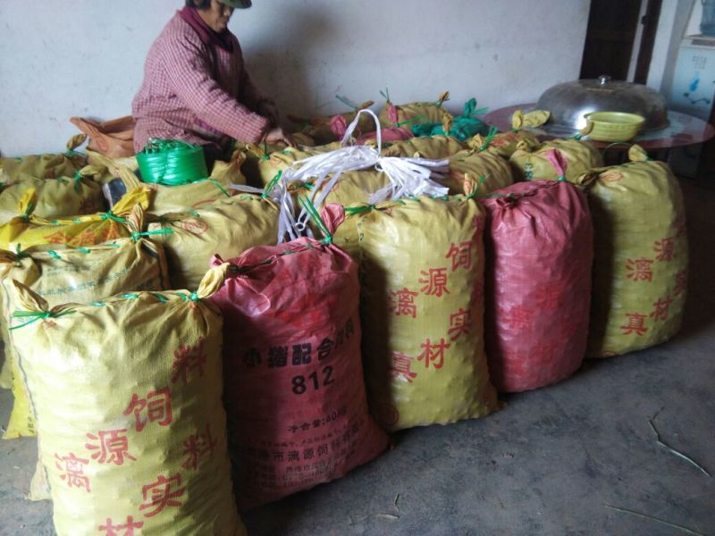 荸荠大号