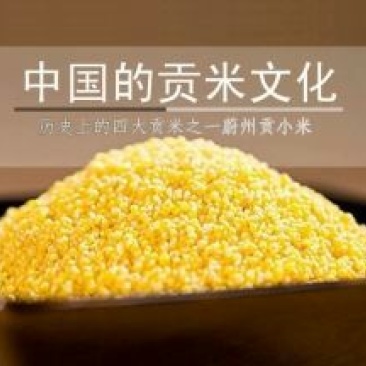 黄金米袋装