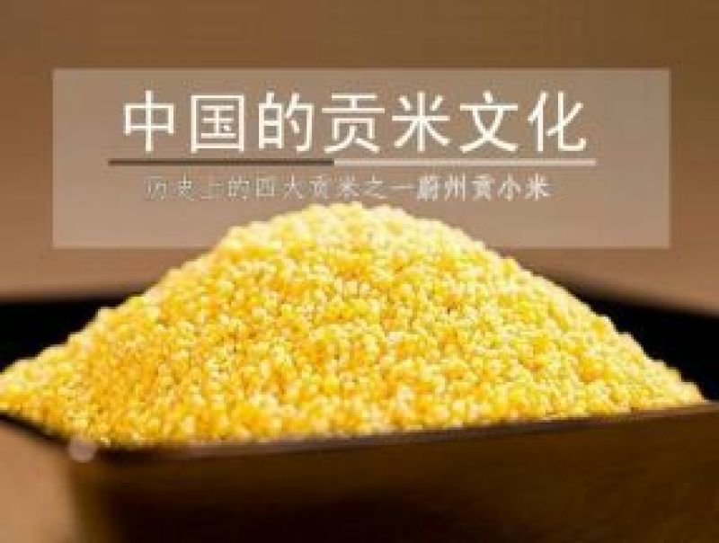 黄金米袋装