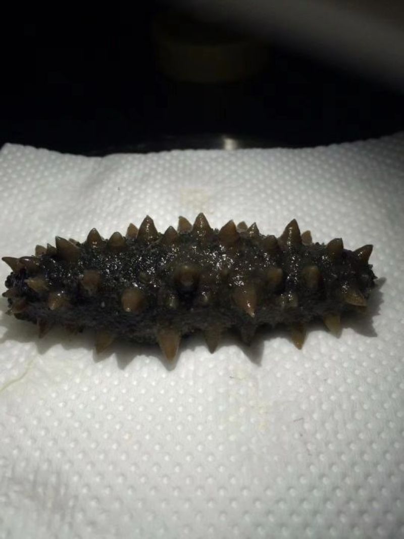 海刺参食用即食