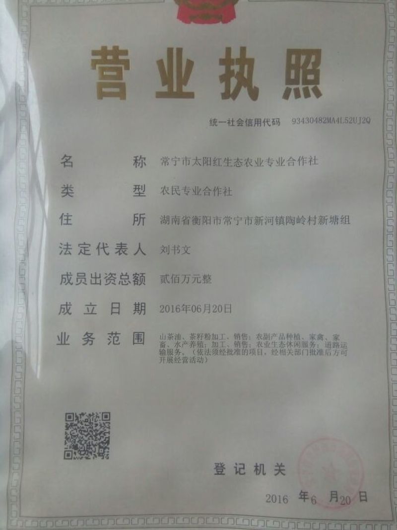 山茶油500ml