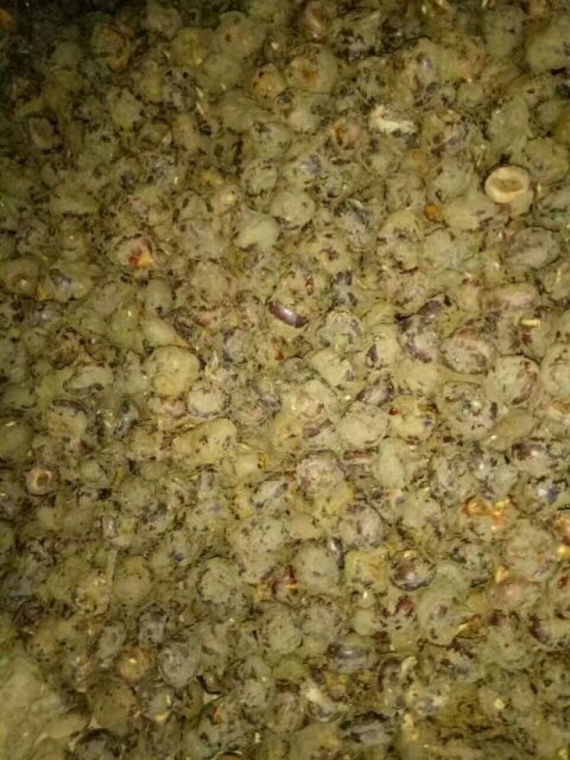 乐昌马蹄，正宗水果马蹄