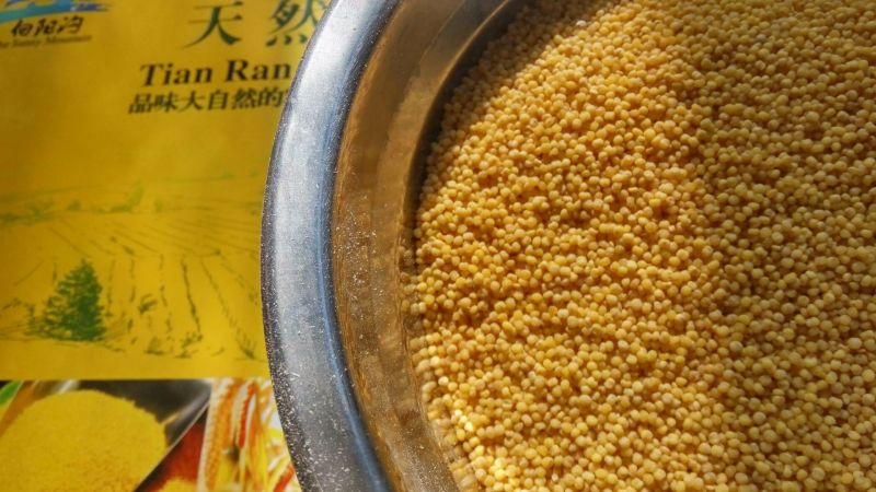 晋谷21号小米合作社自产自销