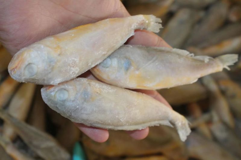 虾皮特级