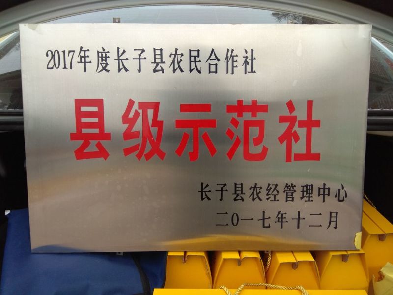 乌皮黄仁豆散装