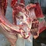 【马肉】优质马肉无注水无掺假现杀现卖全国发货
