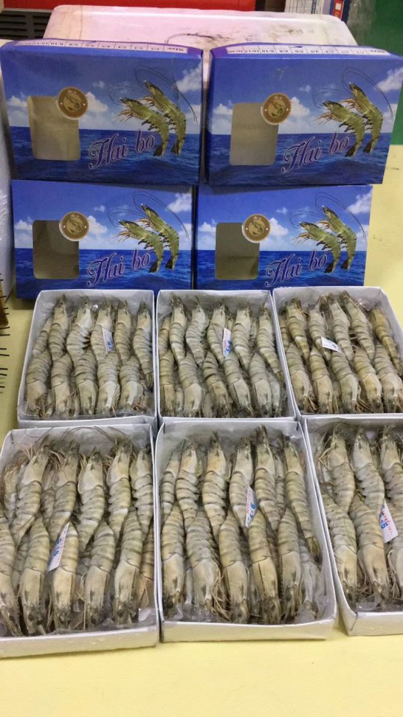 草虾食用冰鲜虾