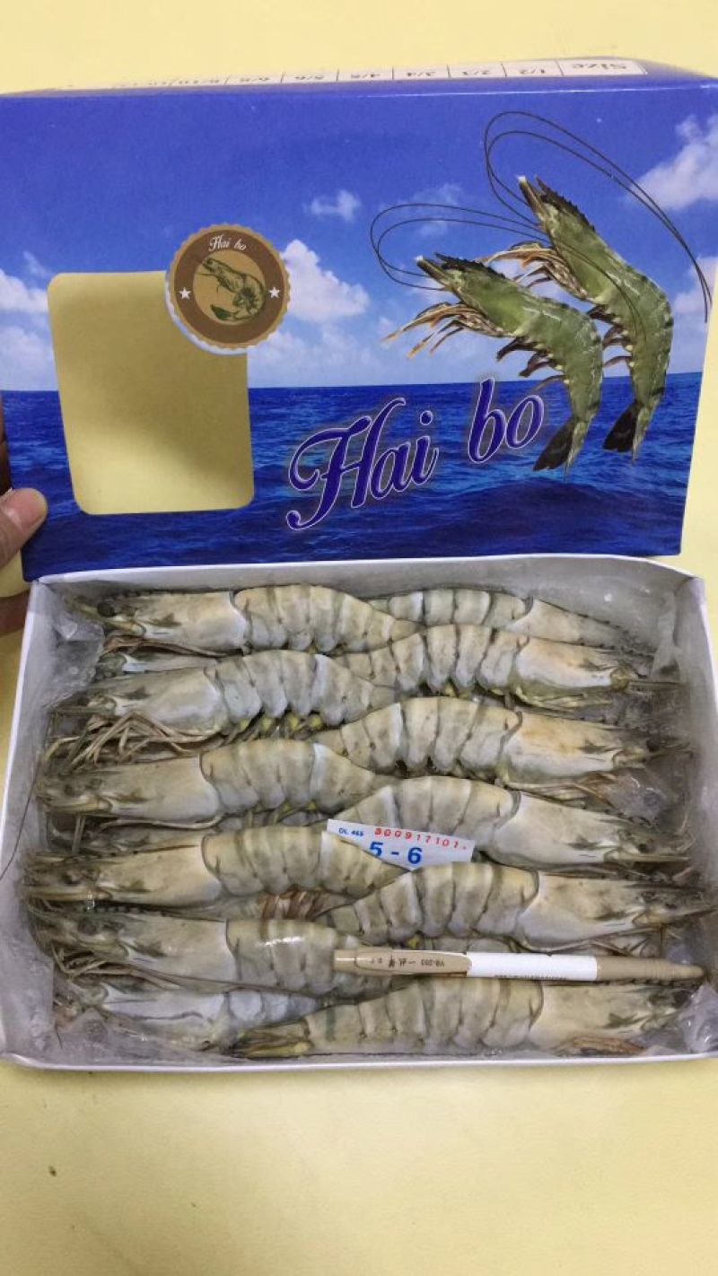 草虾食用冰鲜虾