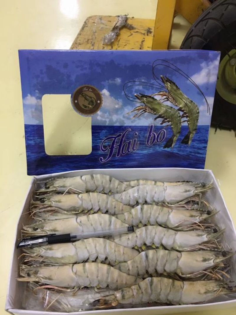 草虾食用冰鲜虾