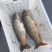 黄河鲤食用3公斤以上