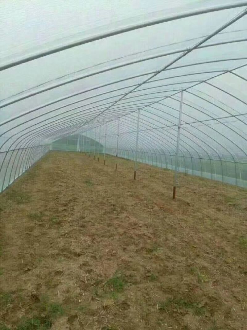 温室大棚系列热镀锌